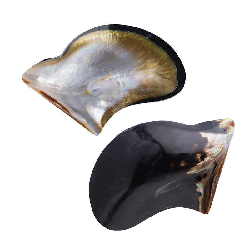 Abalone-Muschel (Bali Barong) Unkategorisiert online kaufen