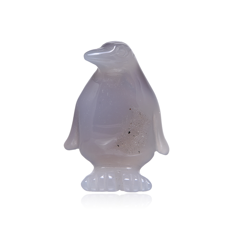 Achat-Pinguin Unkategorisiert online kaufen